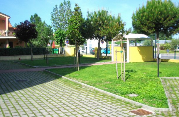 Ortensia 3